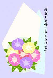 朝顔　残暑見舞い