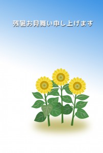 ひまわり　残暑見舞い