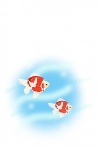 金魚２