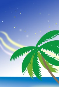 ヤシの木と星空ー文字なし
