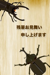 残暑見舞い